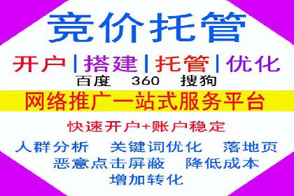 百度推广在电商行业的成功案例